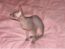 ������ 3 ���� �����