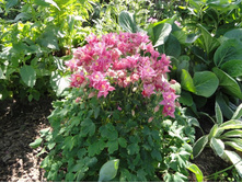 ��������� ����� �������