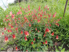 ��������� �������