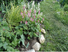 �������� ������ ���