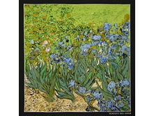 91001-0.jpg 432 ���..jpg