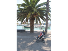 ����������� 868.jpg