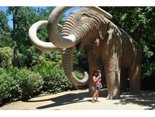 ����������� 1376.jpg