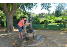 ����������� 1390.jpg