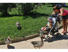 ����������� 1412.jpg