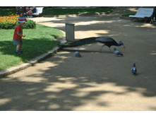 ����������� 923.jpg