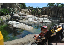 ����������� 948.jpg