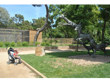 ����������� 1055.jpg