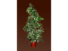 ����� ����������2