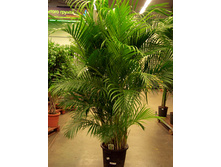 ���������������