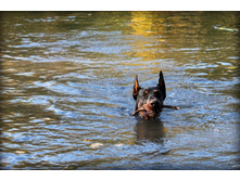 ������ �� ���������� 109.jpg