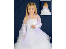 ��������  80�.