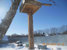 ������ ������