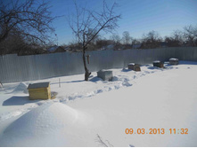 ���� ������� �����