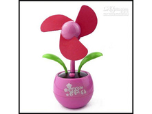 ���������� ����������-������.jpg