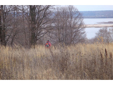 ��-�-�-�-���! �� ����-�-�-�-�????)))))