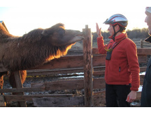 ����� �����������!