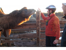 ����! �������!!!