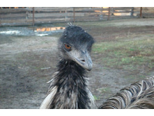 ������� �� ����������!