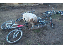 ���� �� ��� ��������???