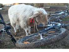 �� �� ������� � � ��̣���!!!