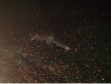 26.10.2009 0:02:40