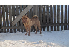 ��� ���� 191.JPG