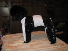 ���� � ����� 114.jpg