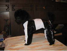 ���� � ����� 116.jpg