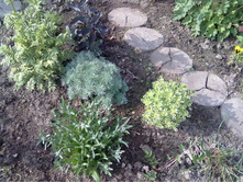 ������, ������ ���� � ������ �������������