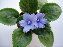 ��-������ �� �������� �����.JPG