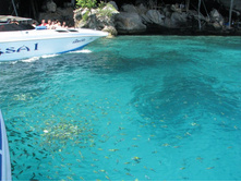 ���� �����