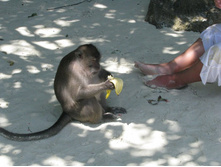 ���������� �������