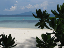 ������� �� � ������...