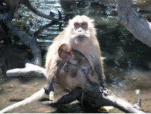 ����������� �����