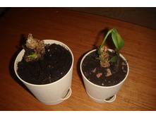 �������� ����� � ������� ��������� (2).JPG