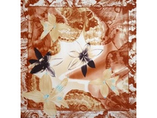 18024P9(korich)-1.jpg 720 ���..jpg