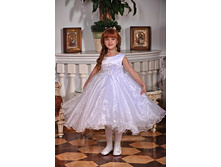 ������� 10 0024