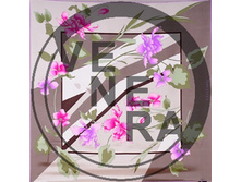 1800547bel-ser-gol-1.jpg 1764 ���..jpg