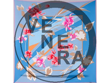 1800547gol-rose-bel-1.jpg 1764 ���..jpg