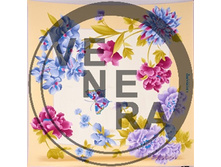 1800547jelt-bel-gol-1.jpg 1764 ���..jpg