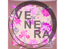 1800547rose-bel-gol-1.jpg 1764 ���..jpg