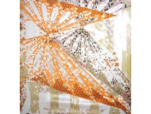 1808889(oranj)-1.jpg 684 ���..jpg