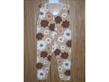 �������� ����