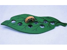 �������� � ������.jpg