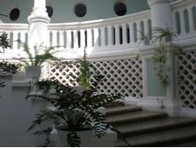 ������ ���