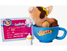 1105161 ������������� ����� � ����� - 668,46.jpg