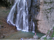 ���� �������-������� �������