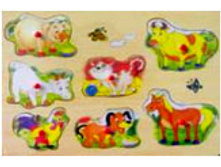 ���� ����������� 429 ���.jpg