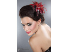 12*018 - 194 ���.